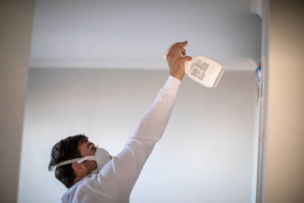 Best Mold Cleaning Services  in North Decatur, GA