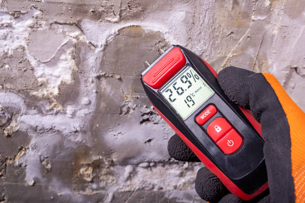 Best Emergency Mold Removal  in North Decatur, GA