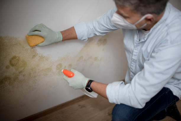Water Damage Restoration in North Decatur, GA