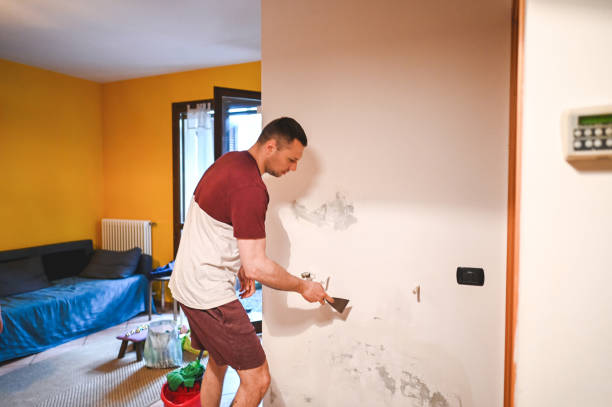 Best Office Mold Removal Services  in North Decatur, GA