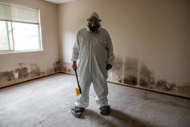 Best Crawl Space Mold Removal  in North Decatur, GA