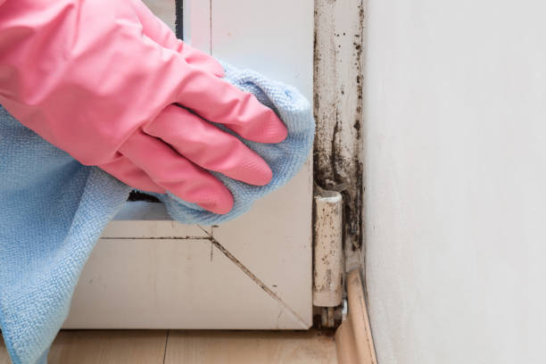 Best Mold Testing  in North Decatur, GA